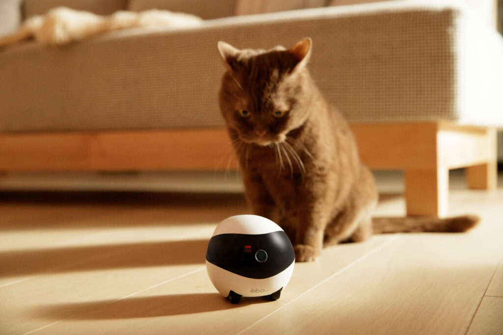 Enabot EBO Air Is A Robot Companion For Cats And Humans - SHOUTS