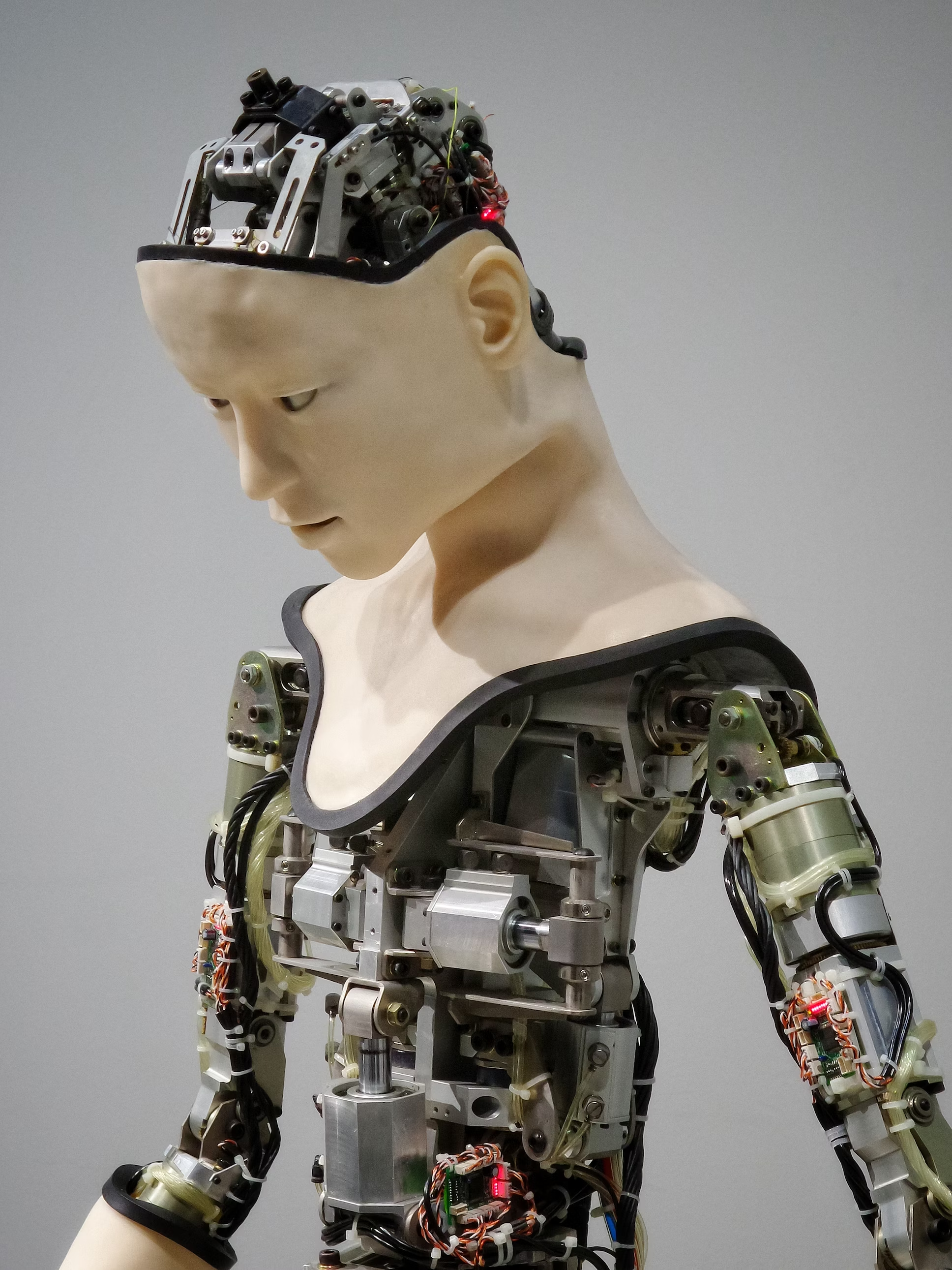 Read more about the article Robots-Weblog | Superb Developments in Gentle Robotics