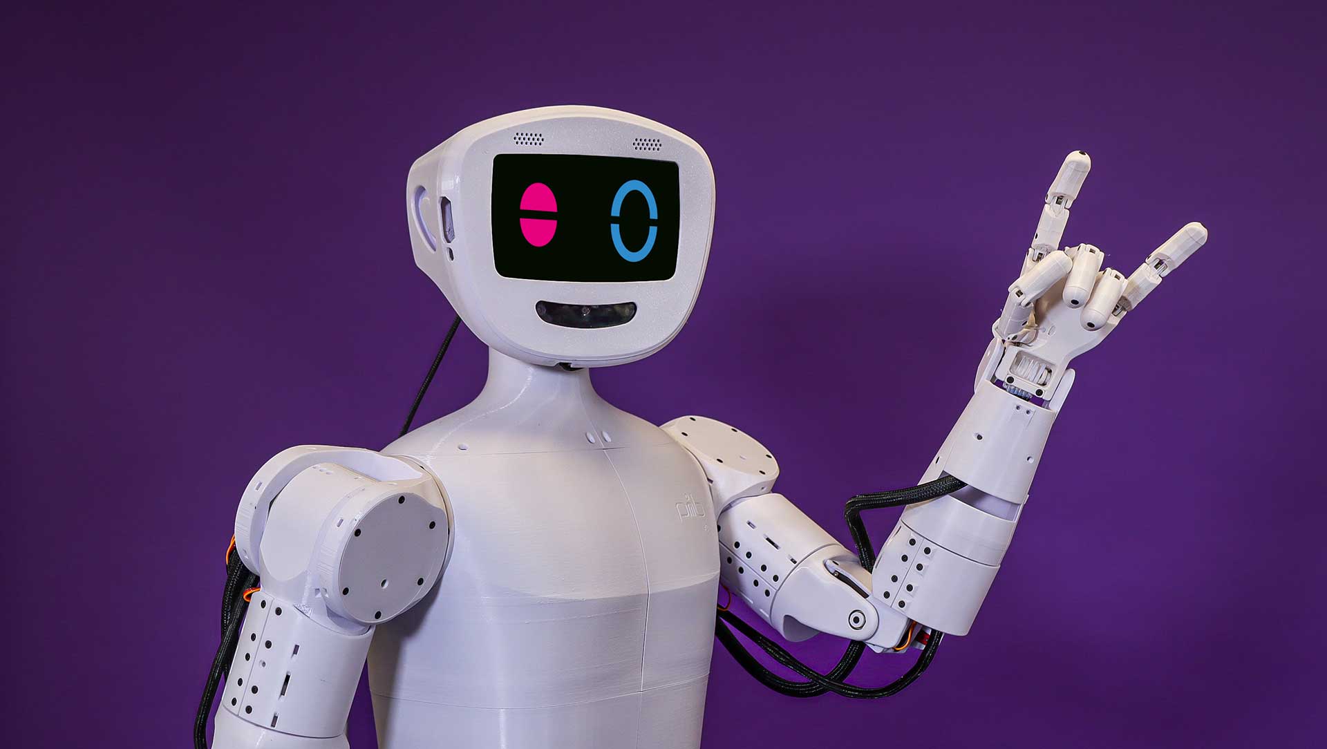 Robots-Weblog | New Model of the 3D Printable Humanoid Robotic  pib To Be Launched in August